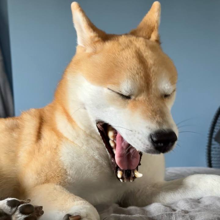 0dd03b4b 51df 4134 8756 99b9f9816ab1 1694575546973