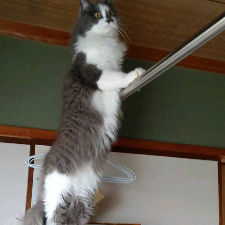 0dd04b4f 483f 418b bdaa f0290db94fb7 1628223127029