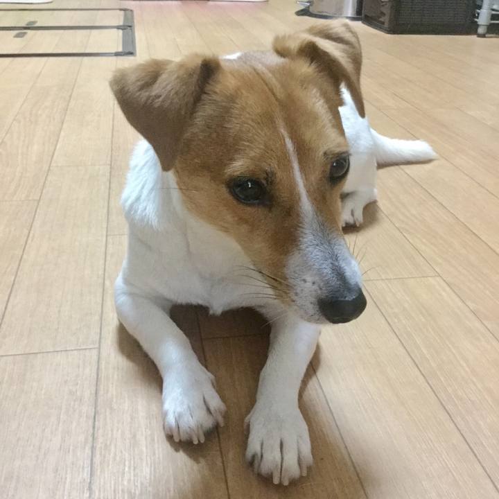 0dd06258 ce0e 46eb b81e 7e801bebe75e 1528961026807