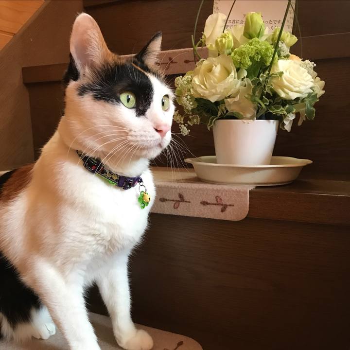 0dd0c6d1 0388 4535 8e51 2686c4bcfbb5 1522923147765