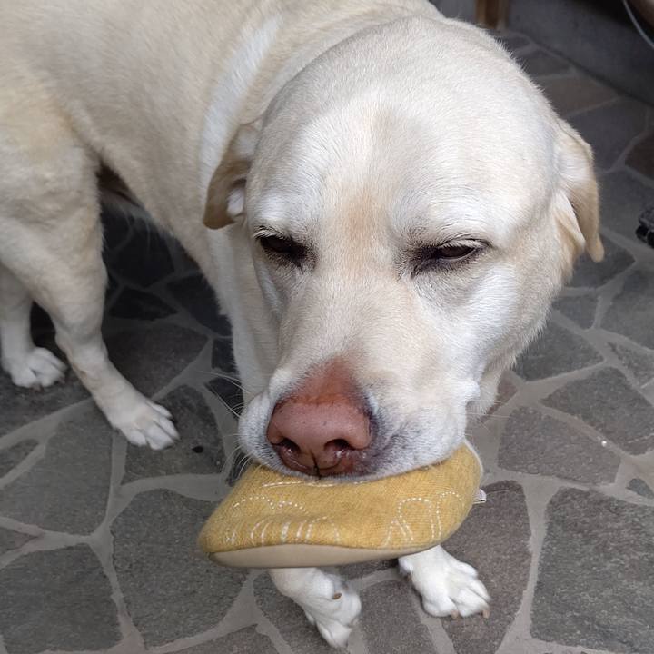 0dd0dcf5 9912 4fbd a059 e7957d099e25 1653278542459