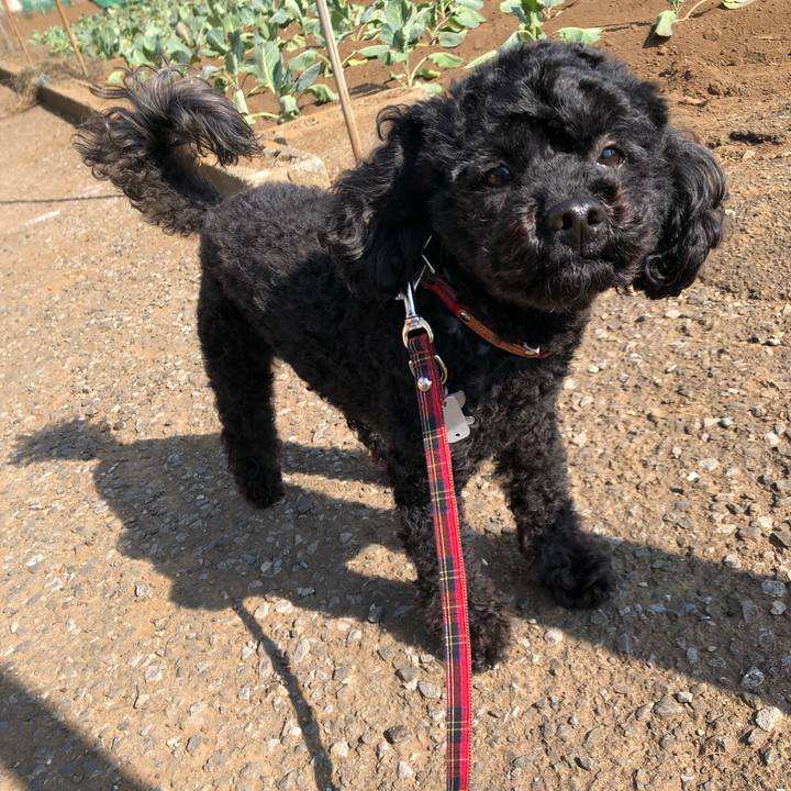 0dd0fc6c 5046 45d9 b55f c75a1a156637 1553652608126