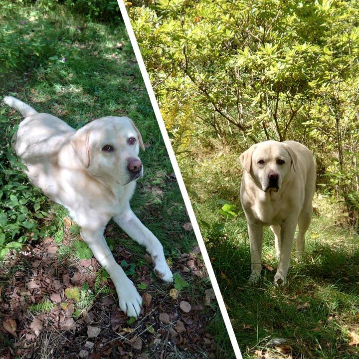 0dd101ef 7f2d 456f 8e58 5adf032e9de6 1694538185433