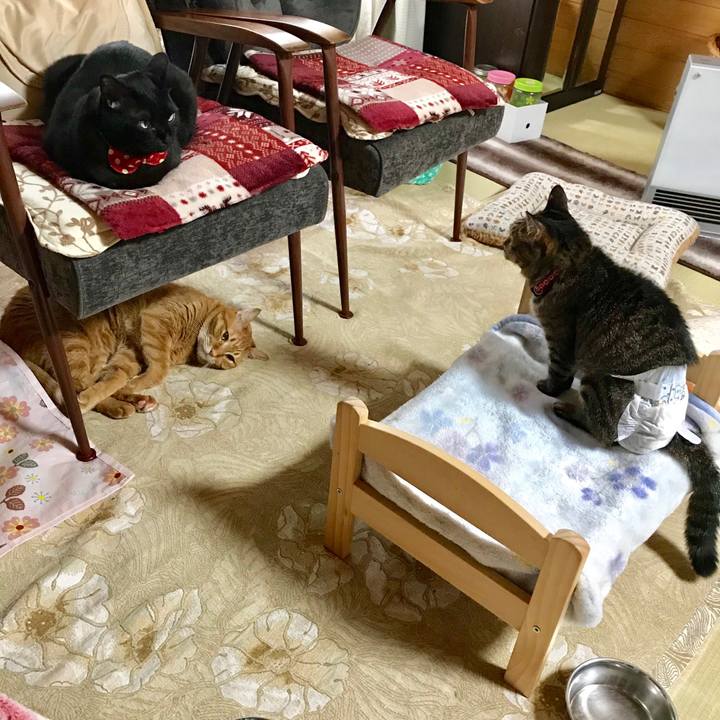 0dd118df 10a6 40ae 8899 2f3777ae6f28 1545347851421