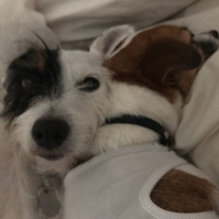 0dd121d0 22da 4fae a948 e08d3e527179 1535293416050