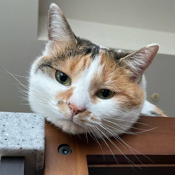 0dd169f2 03bd 43da 941f 2d148aa4867c 1670639225990