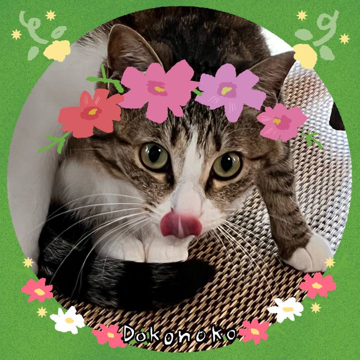 0dd1764b 9238 4ac5 b10d ab675a02294e 1727153618561