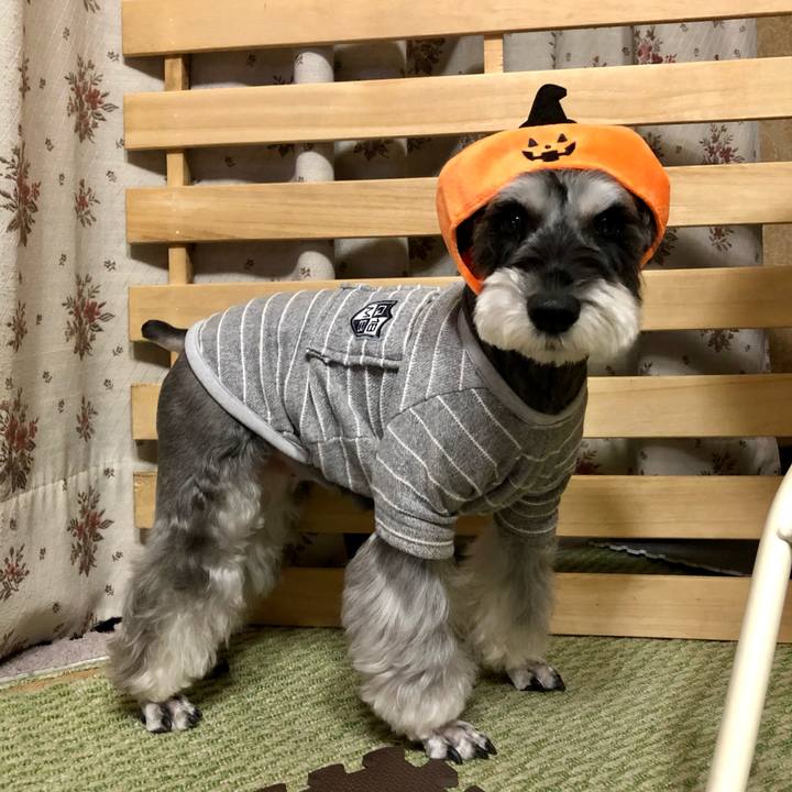 0dd17dd6 87a4 41be af4b 0082fbed4ada 1666756425782