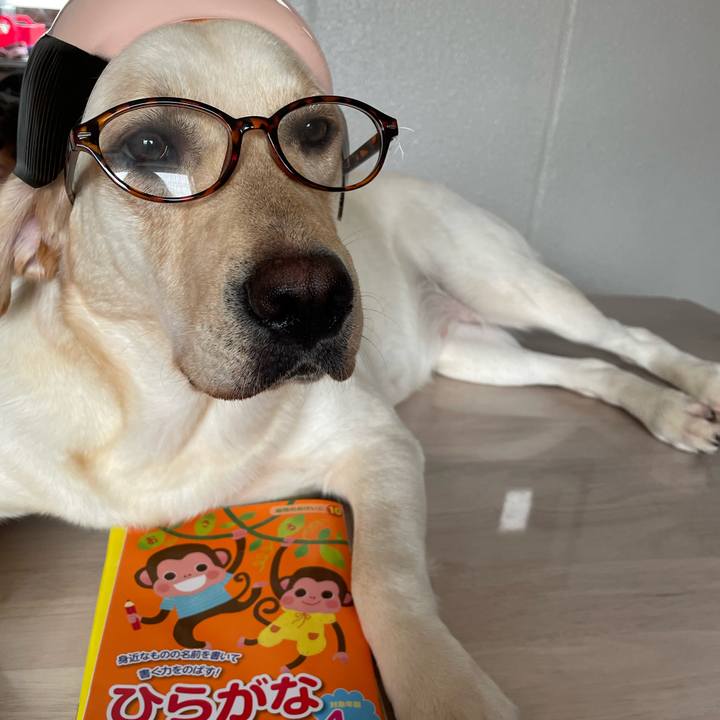 0dd1a9c5 ae00 4135 887d 28c494a847bf 1657517294384