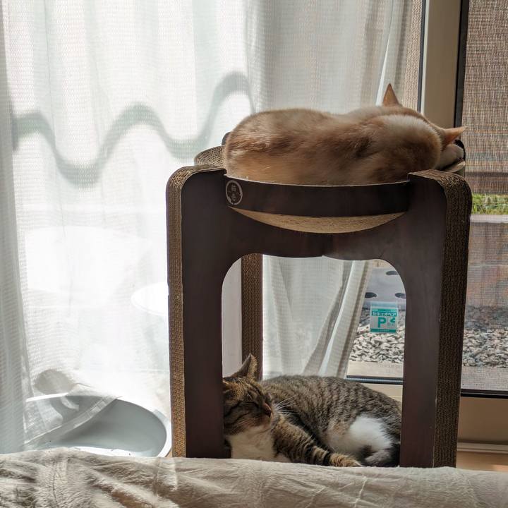 0dd1cef8 bcfc 4675 988f 1b035f388294 1694655552760