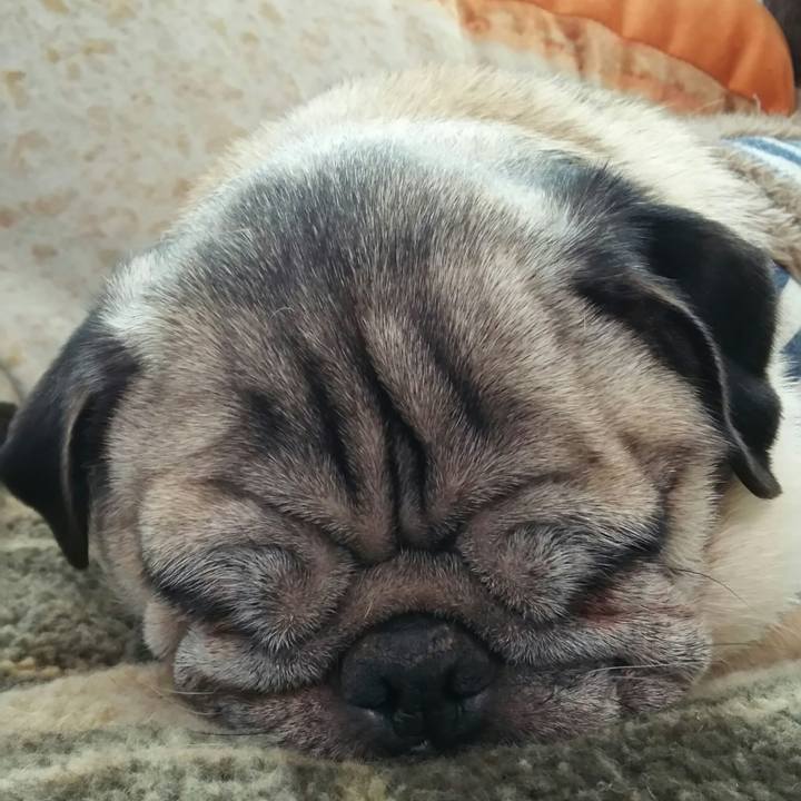 0dd2126b a1f8 40a0 8f4d da0c2adcbfaf 1539307939479