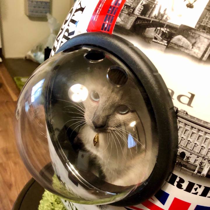 0dd2569f b991 4742 8d1f a11025edff12 1580123085819