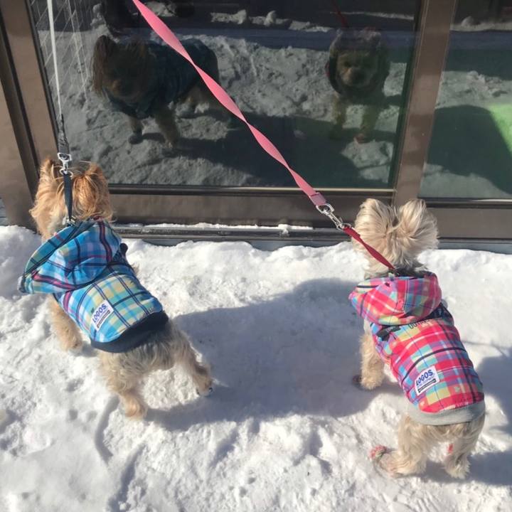 0dd263f6 3fec 4f85 b666 c5b6430571ef 1580981826454