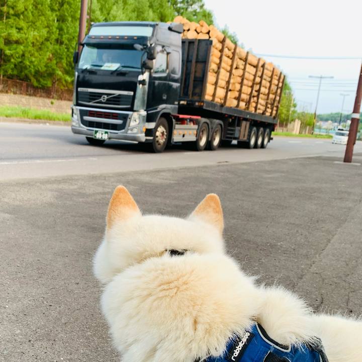 0dd27064 384d 4a36 afc2 831f53221533 1653423947528