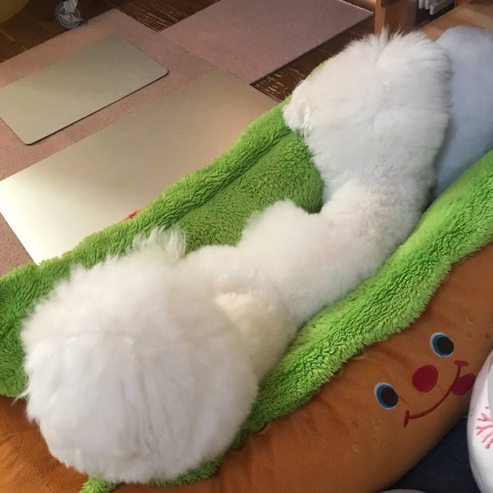 0dd2ab5a 576d 48b8 9981 1002d0e5dc34 1599550625158