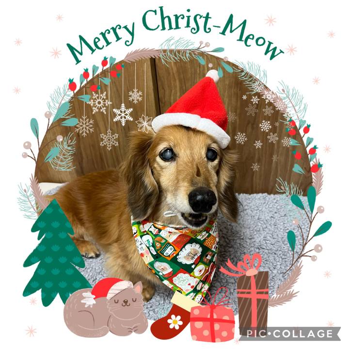 0dd2ac7d 972b 4c49 9ab0 79dddca8ebcc 1671880213240