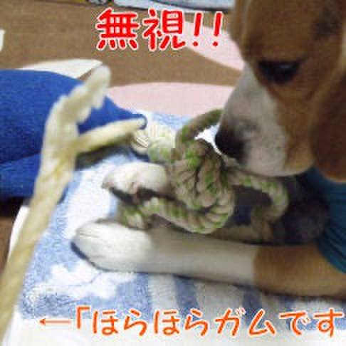 0dd2b453 7aeb 4bce a0c9 54f34e660bc8 1716249146832