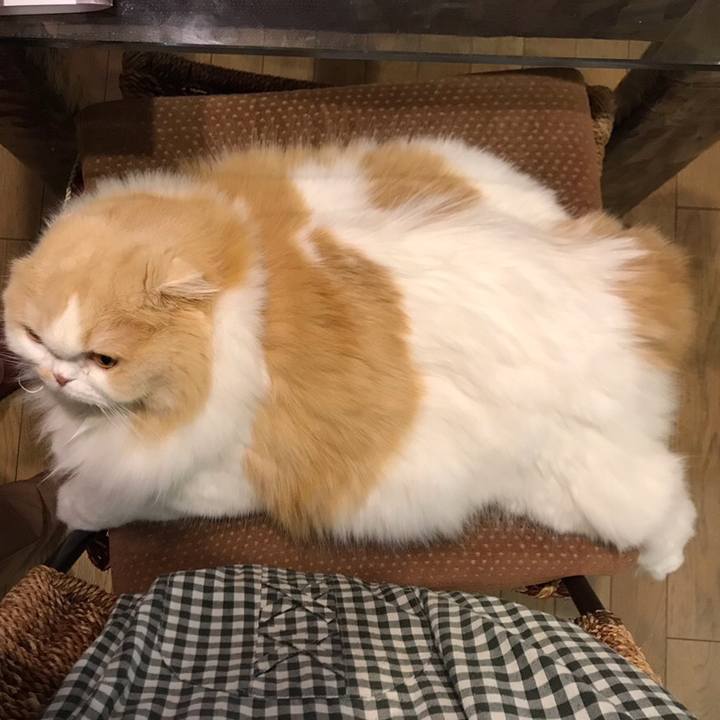 0dd2b93f d49e 4a02 b681 81a619379dcd 1547993528668