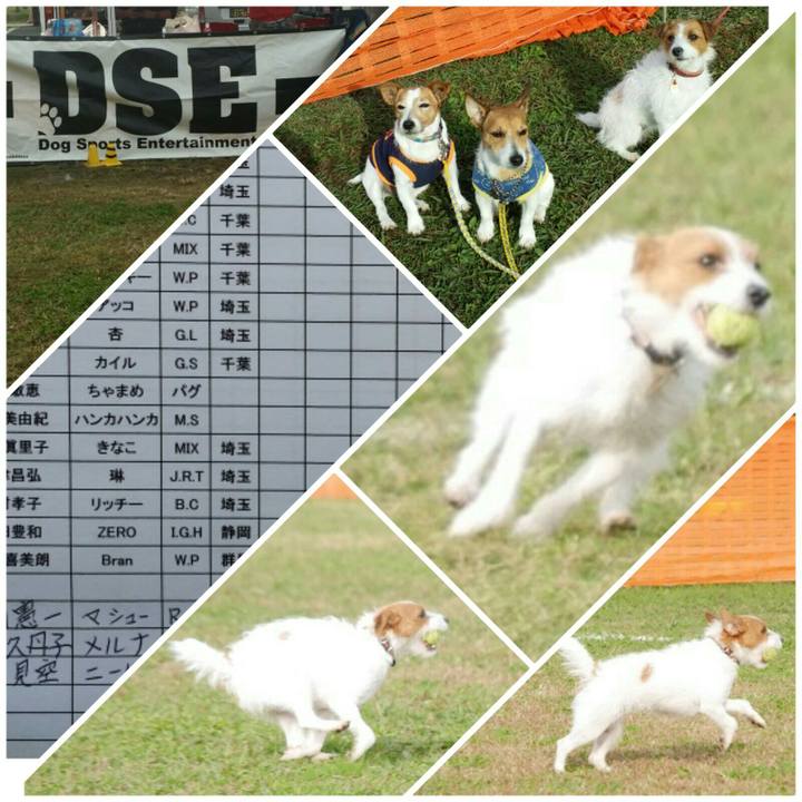 0dd2db0f 0526 4c39 9fc1 735b8a49b78c 1542520724731