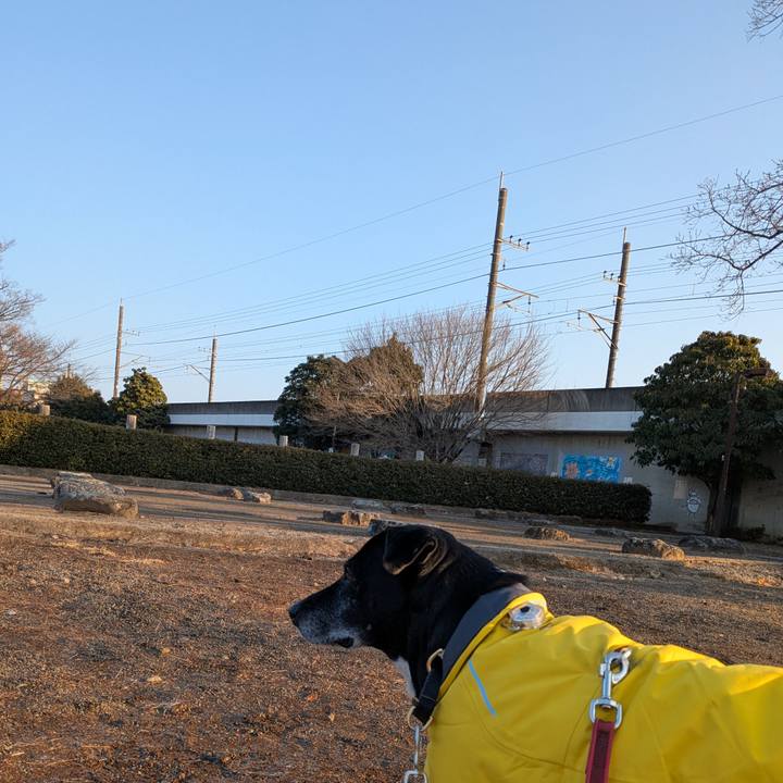 0dd2e3cb 412b 4cc3 906a c2c4159e1b90 1737678843894