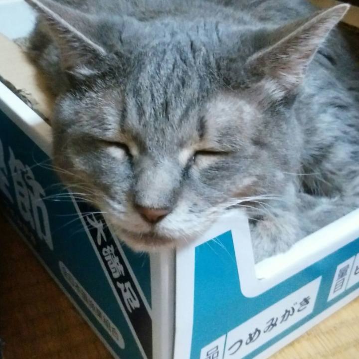 0dd347a2 e65e 476c af9e 024aeaefd853 1567204128535