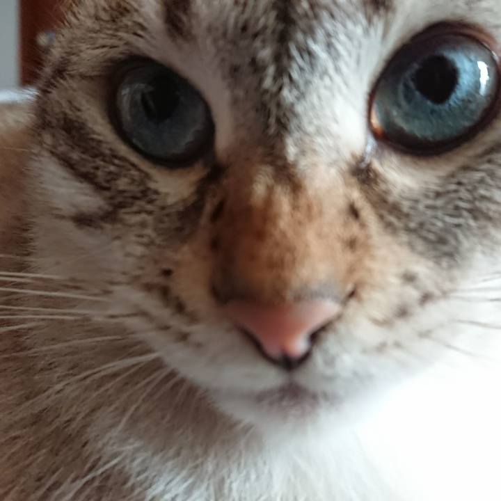 0dd34e93 db21 4bcf b967 3625c109d501 1603491720995