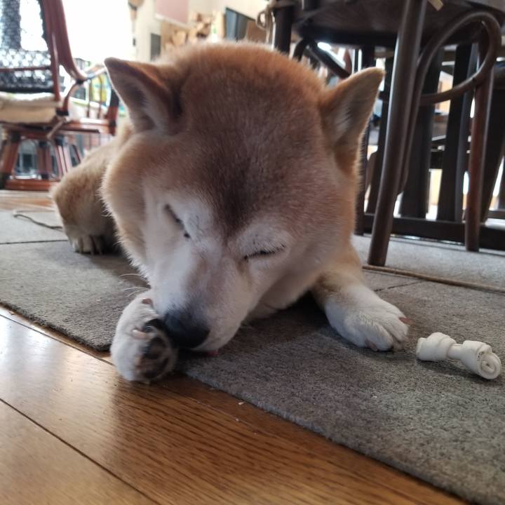 0dd36e71 1c1a 4fd7 af16 8183952be581 1682293180893