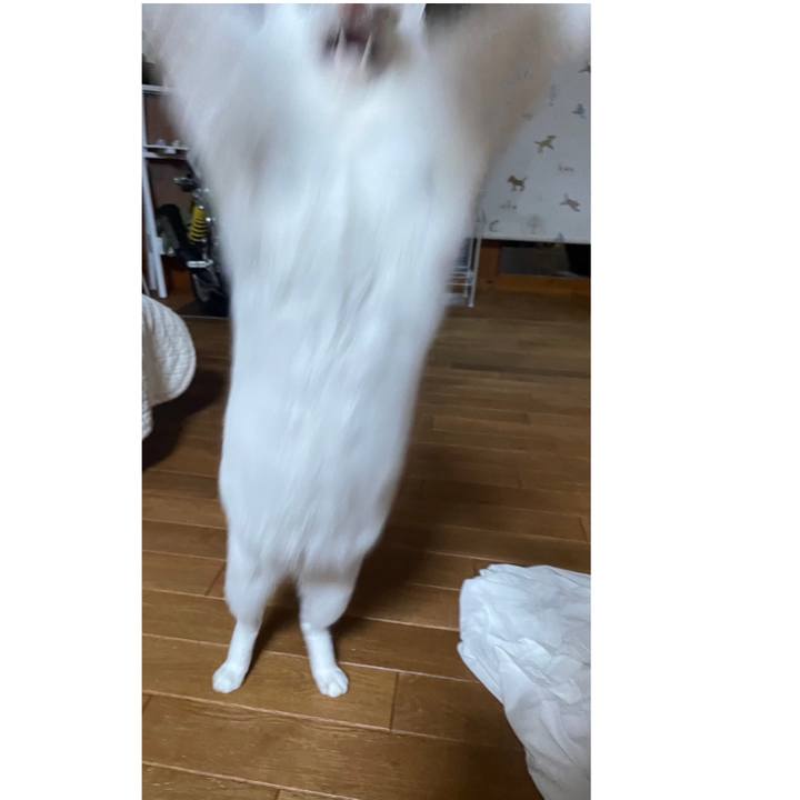 0dd3942a da19 4d02 b127 7cf6bdea7c2d 1671081000535