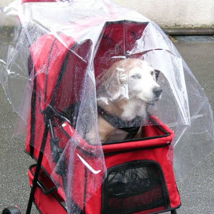 0dd3ce96 efab 431d 85af 6385ebfabd91 1666487037845