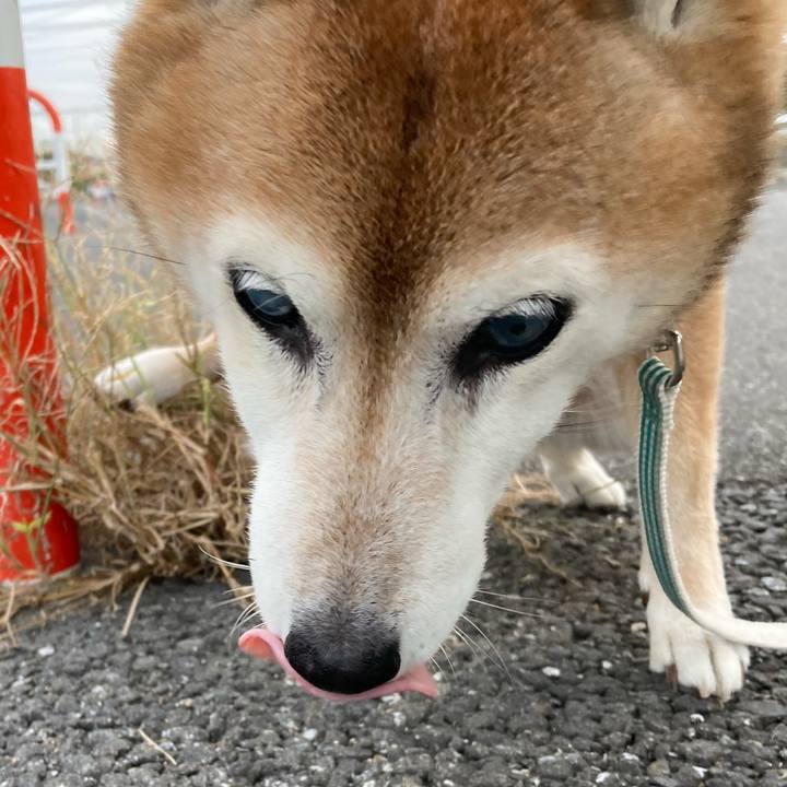 0dd3f9f1 37cd 4802 805e f8e40a1ab6d8 1762244766404