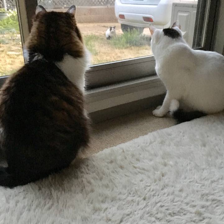 0dd40435 fd9d 4177 b3d8 b79de9b43b27 1524034263059