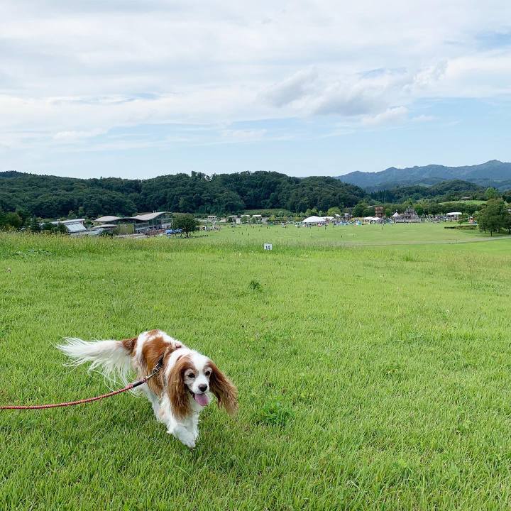 0dd41c55 7a06 4067 aa1e e6f3604debde 1600586492793