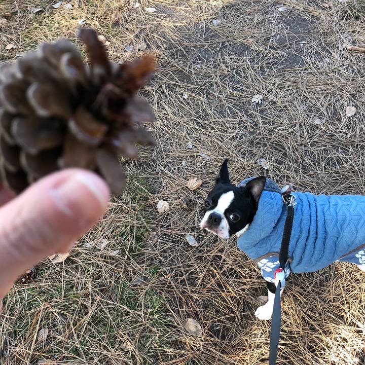 0dd4212a 4c20 41ff a84a a9531fc01302 1518243095642