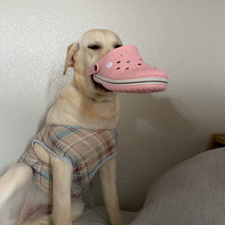 0dd42184 6a2d 4d48 8389 5ee1db84b5d3 1631232194412