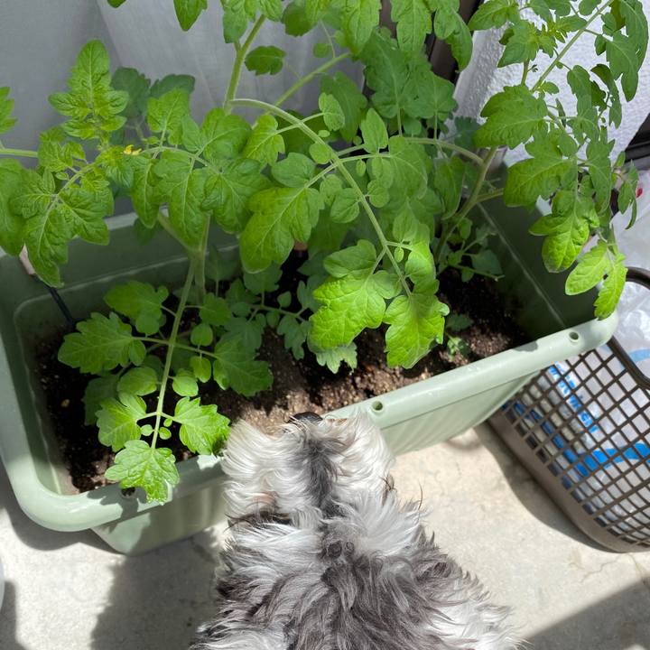 0dd49a5d 65e7 4d43 a133 749f8026023a 1588905704526