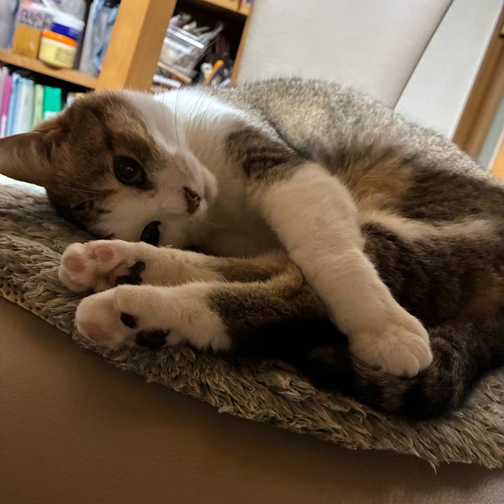 0dd4b148 1e65 4d28 ae32 45db6c5b100d 1759329680483