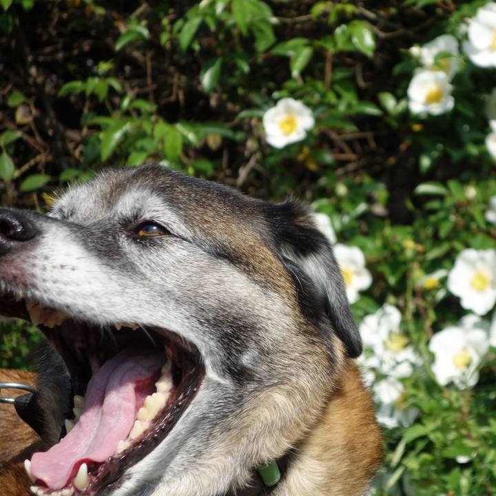 0dd4cf7c ed50 4afd a604 3a2e47acf69e 1635209889505