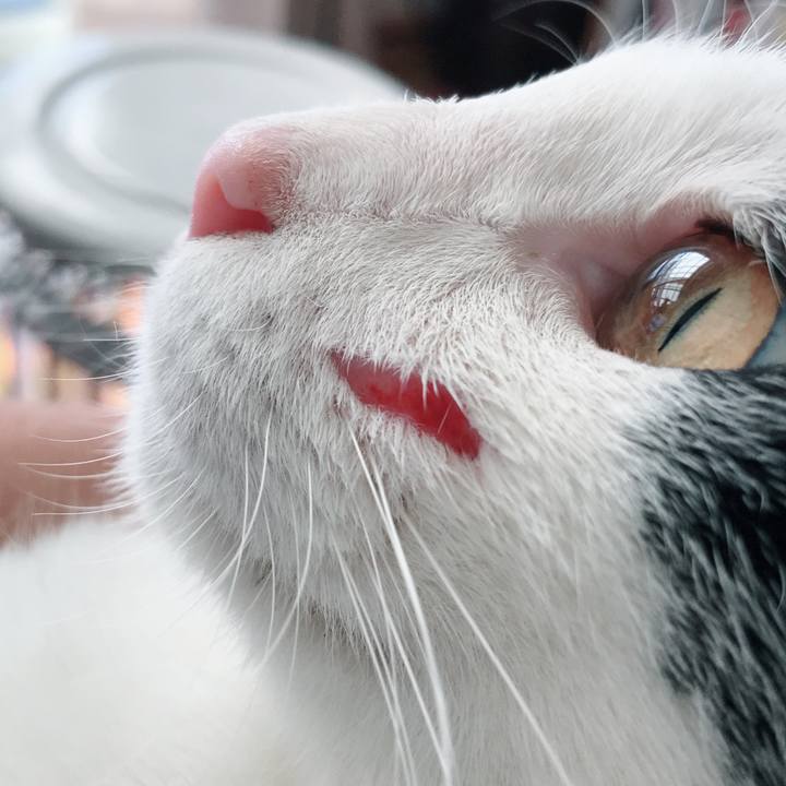 0dd5092f a7e1 473e af8e 4fa757cfcc5e 1517967146911