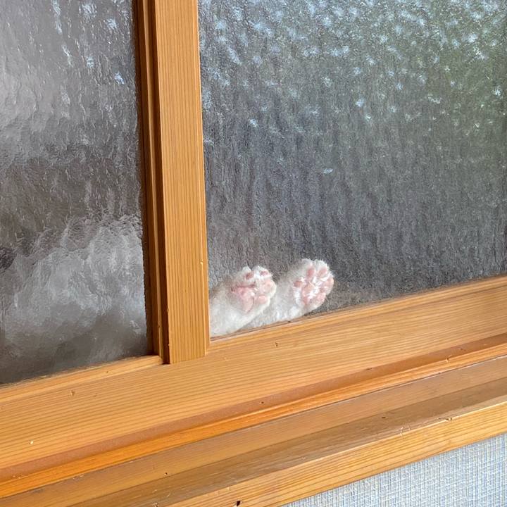 0dd540db 645a 4c83 8b88 ad5010e7a701 1596116752731