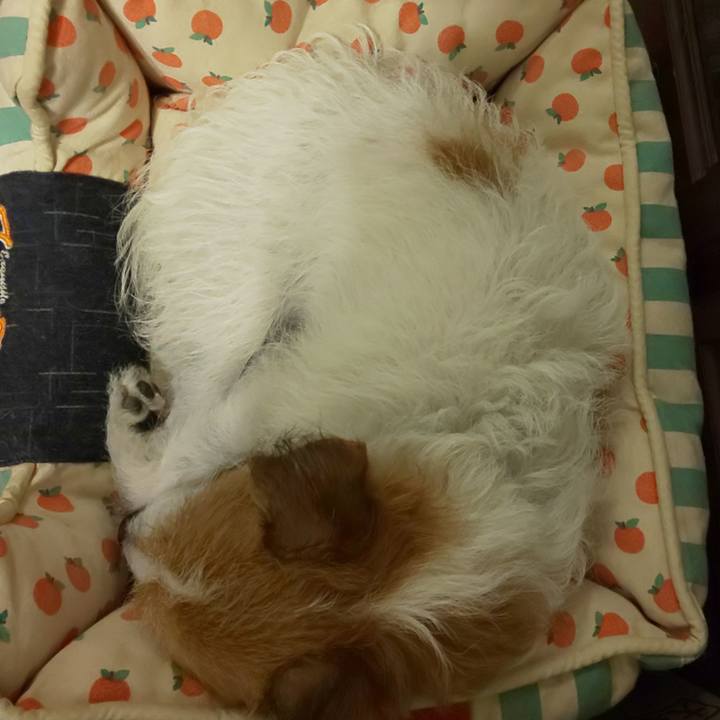 0dd56b0c d08b 4df0 b6b4 c4d48ef63cfc 1632063859728