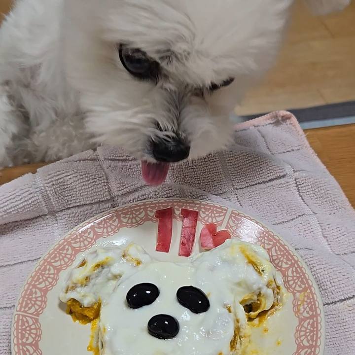 0dd5b36b 779f 4a22 9854 f1457b0eeaf4 1759488748044