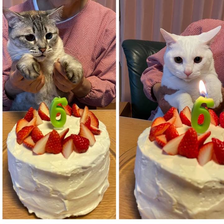 0dd5be9a 63f9 4b42 b68d 321313d57e80 1652018074290