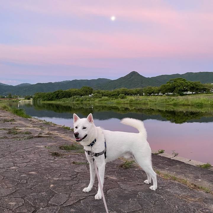 0dd5e0ca d838 4710 9833 c3ed5da75708 1627244279659