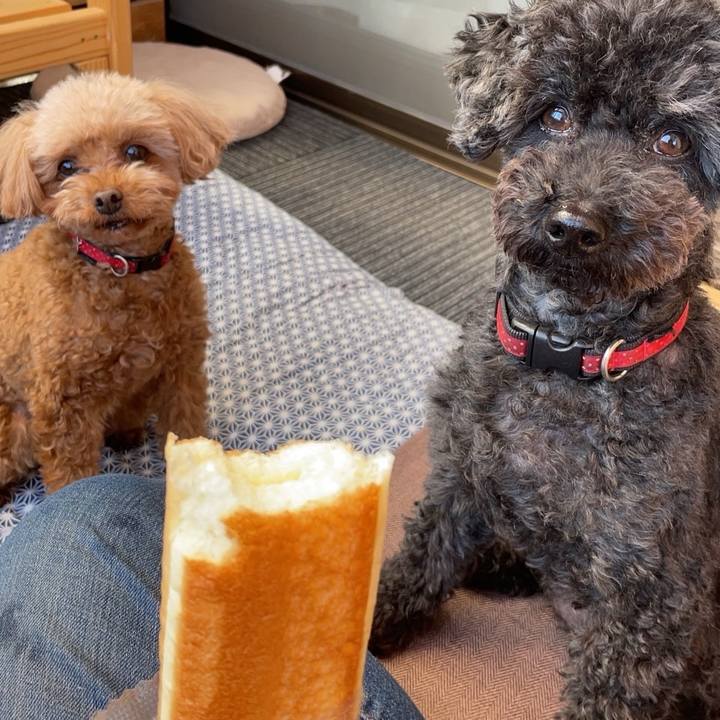 0dd5f691 a3ac 4f6d a00d 8f9aabceee49 1710151685058