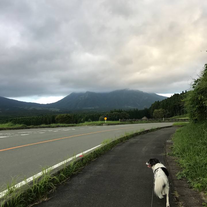 0dd6428a b93e 45ba 83dc 8c28972433a8 1536069709883