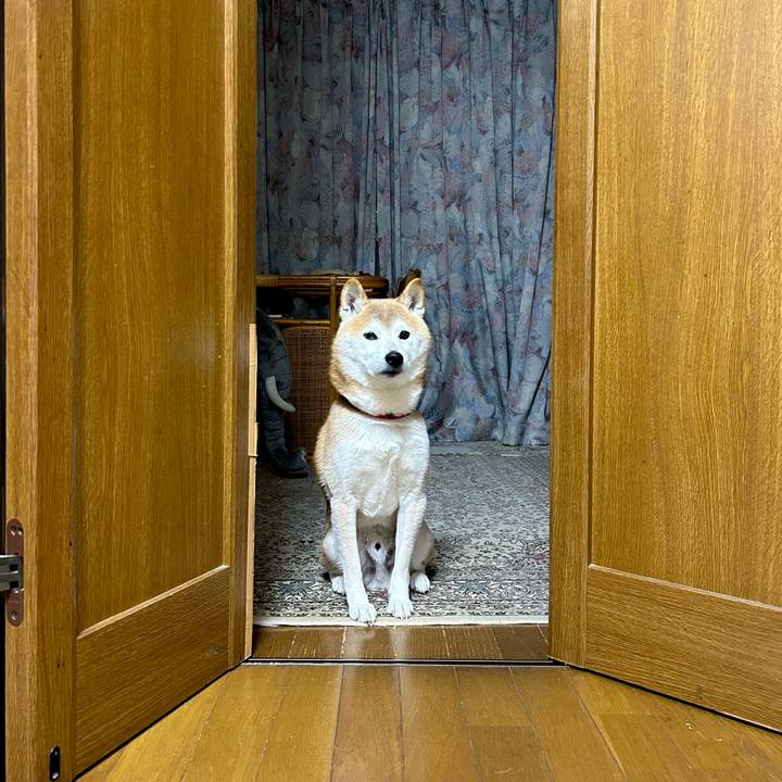 0dd657fa e307 487a b7b2 adfbad0de4bd 1703070516445