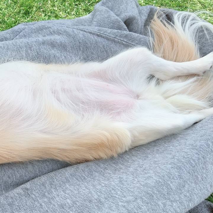 0dd6b3fc 683e 497b aa5a 7eb9fc87c467 1710669386122