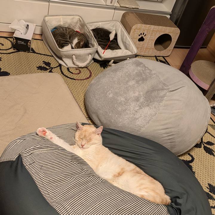 0dd6b5c1 9844 4d9a 8112 4aecde07f510 1719669904365