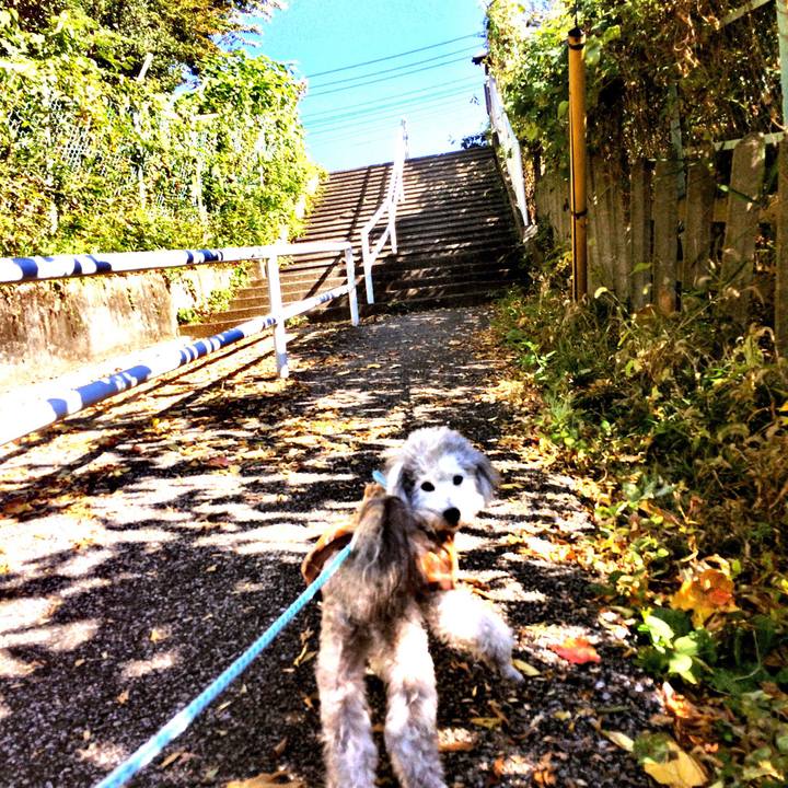 0dd6c7f3 90ad 43aa 98e3 318348c01d4d 1510470196235