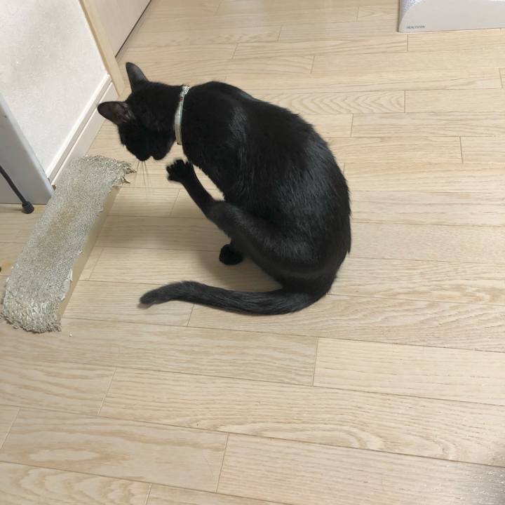 0dd75456 b8cd 41fd 899f 1d8750dfe4e5 1622119584320